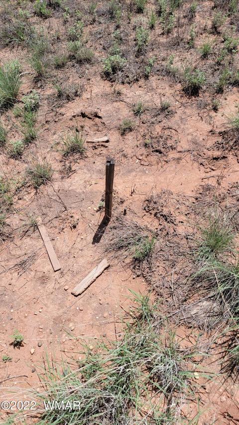 tbd Paper Mill Rd, Snowflake, AZ 85937 photo 7