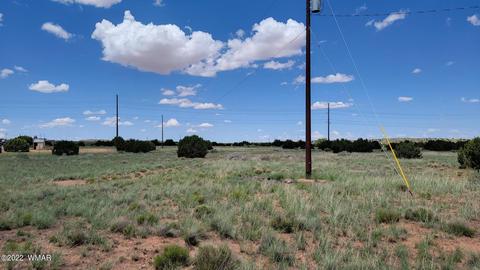 tbd Paper Mill Rd, Snowflake, AZ 85937 photo 5