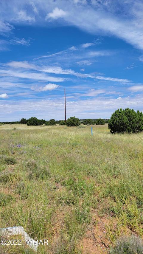 tbd Paper Mill Rd, Snowflake, AZ 85937 photo 12