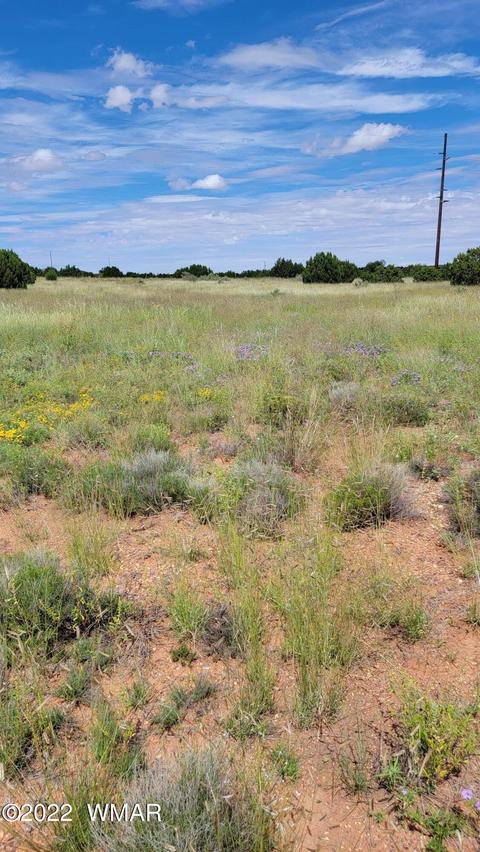 tbd Paper Mill Rd, Snowflake, AZ 85937 photo 10
