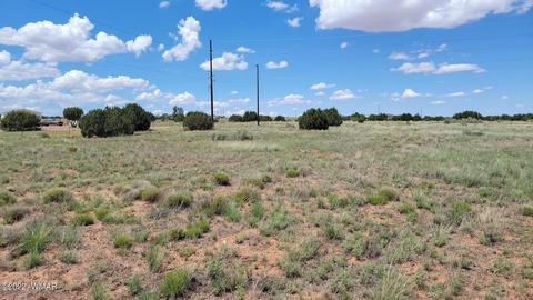 tbd Paper Mill Rd, Snowflake, AZ 85937 photo 9