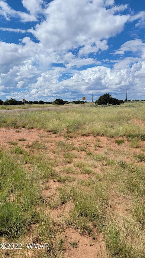 tbd Paper Mill Rd, Snowflake, AZ 85937 photo 13
