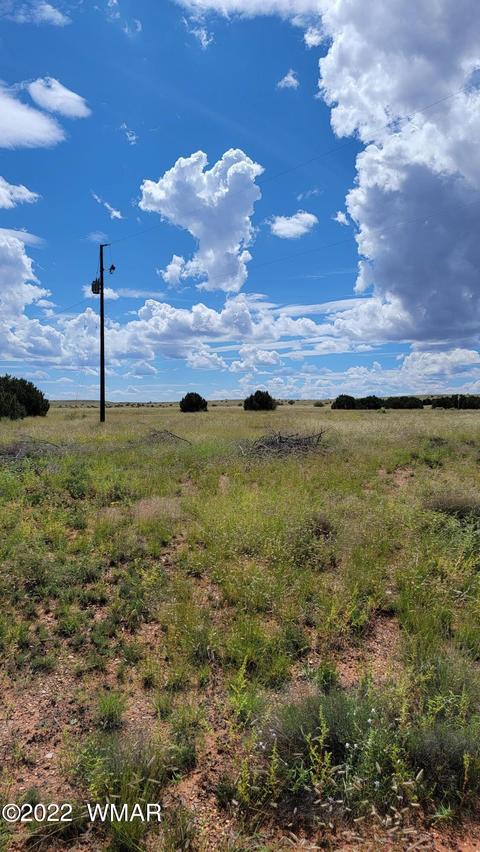 tbd Paper Mill Rd, Snowflake, AZ 85937 photo 11