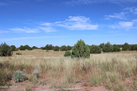 lot80 Ranch Of The White Mtns, Concho, AZ 85924