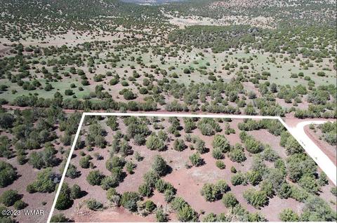 85 Co Rd 3198, Vernon, AZ 85940