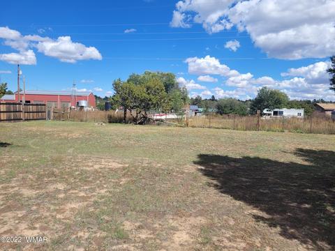 2045 Buckboard Ct, Overgaard, AZ 85933 photo 2