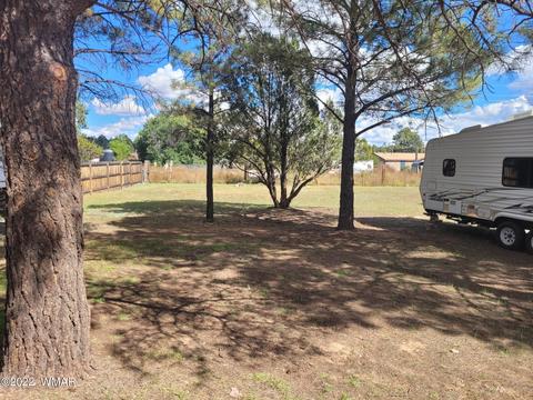 2045 Buckboard Ct, Overgaard, AZ 85933 photo 4