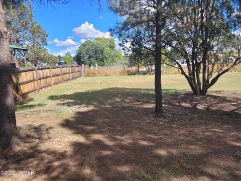 2045 Buckboard Ct, Overgaard, AZ 85933 photo 3