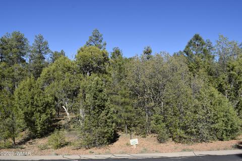2040 High Sierra Ct, Show Low, AZ 85901