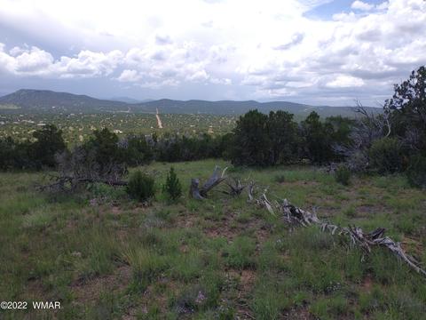 48 Co 8032 Rd, Concho, AZ 85924