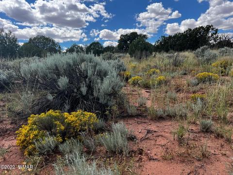 Tbd N9218, Concho, AZ 85924