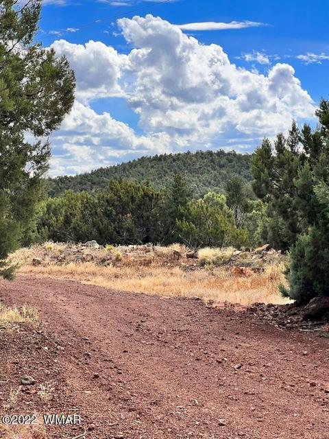 29 N8620, Concho, AZ 85924