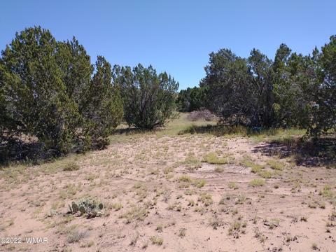 61 Spring Dr, Concho, AZ 85924 photo 5