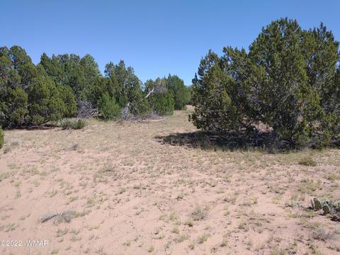 61 Spring Dr, Concho, AZ 85924 photo 4