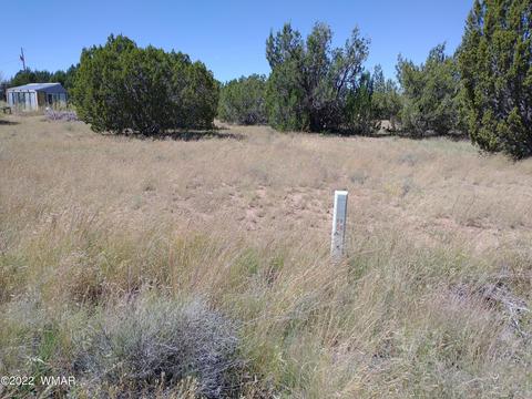 61 Spring Dr, Concho, AZ 85924 photo 8
