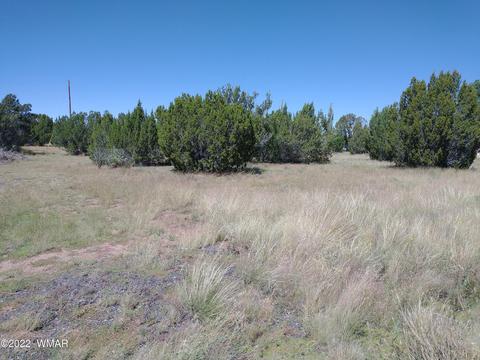 61 Spring Dr, Concho, AZ 85924 photo 2