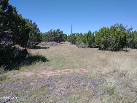 61 Spring Dr, Concho, AZ 85924 photo 3