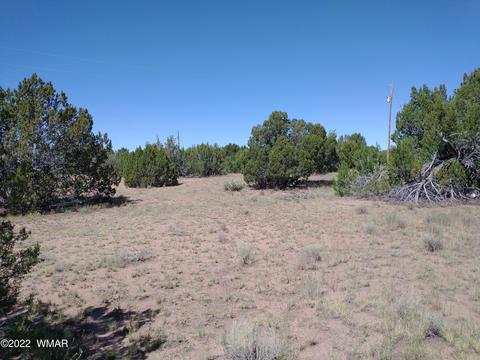 61 Spring Dr, Concho, AZ 85924