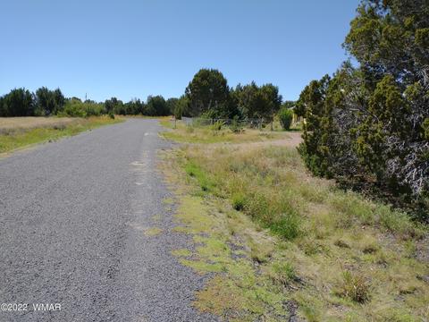 61 Spring Dr, Concho, AZ 85924 photo 6