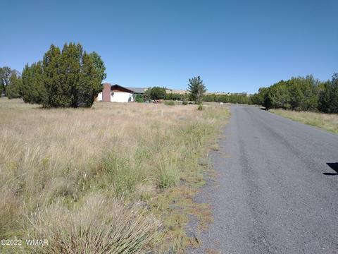 61 Spring Dr, Concho, AZ 85924 photo 7