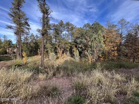 Tdb W White Mountain Boulevard, Lakeside, AZ 85929