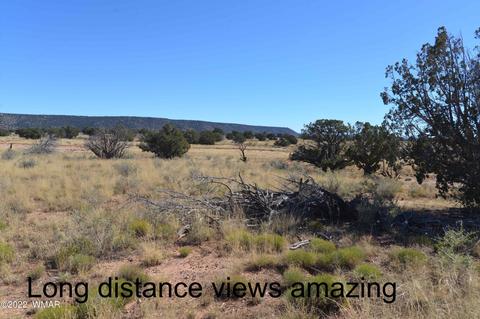 4548 Knudson Ln, Snowflake, AZ 85937
