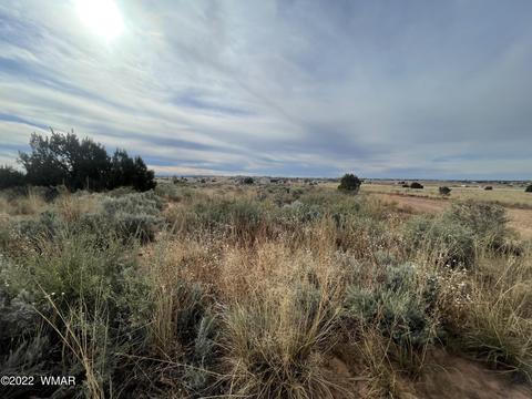 Tbd Apple Blossom Lane, Snowflake, AZ 85937