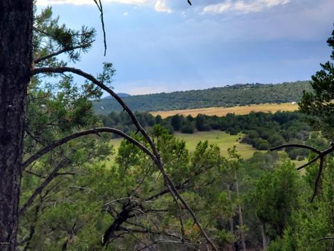 38 County Road N3314, Vernon, AZ 85940