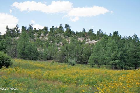 tbd Black Canyon Rd, Heber, AZ 85928