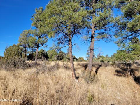 2791 Skyhawk Dr, Overgaard, AZ 85933 photo 4