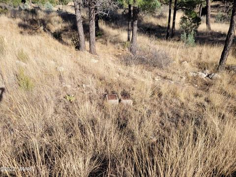 2791 Skyhawk Dr, Overgaard, AZ 85933 photo 8