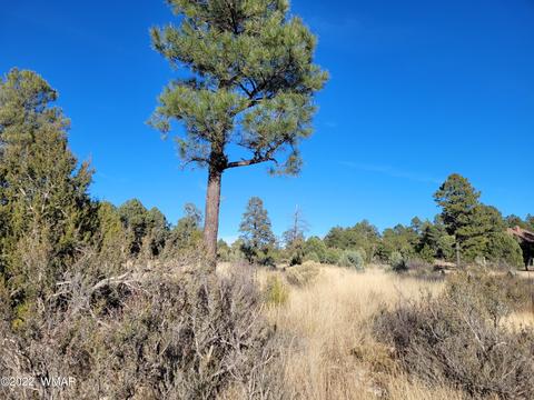 2791 Skyhawk Dr, Overgaard, AZ 85933 photo 5