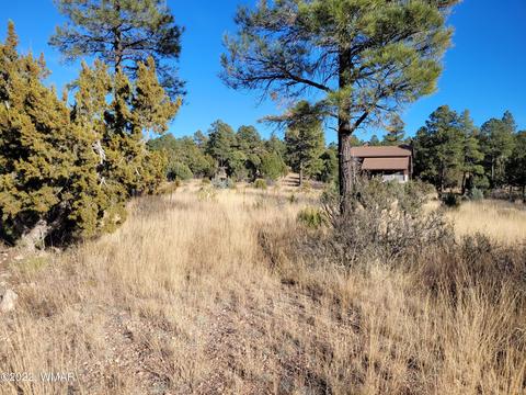 2791 Skyhawk Dr, Overgaard, AZ 85933 photo 1