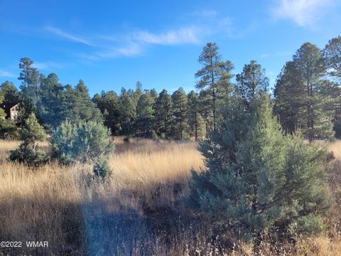 2791 Skyhawk Dr, Overgaard, AZ 85933 photo 7