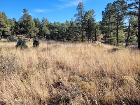 2791 Skyhawk Dr, Overgaard, AZ 85933 photo 2