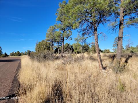 2791 Skyhawk Dr, Overgaard, AZ 85933 photo 6