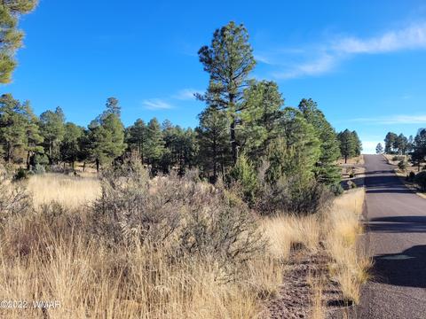 2791 Skyhawk Dr, Overgaard, AZ 85933 photo 3