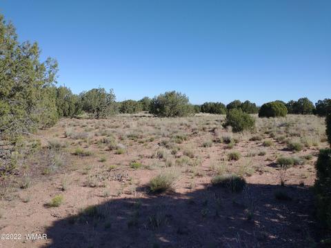 4529 Mountain View Rd, Snowflake, AZ 85937