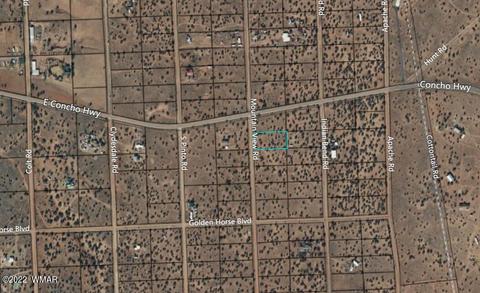 4529 Mountain View Rd, Snowflake, AZ 85937 photo 9