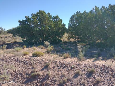 4529 Mountain View Rd, Snowflake, AZ 85937 photo 5