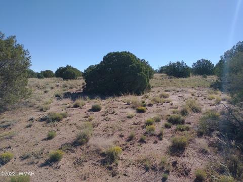 4529 Mountain View Rd, Snowflake, AZ 85937 photo 3