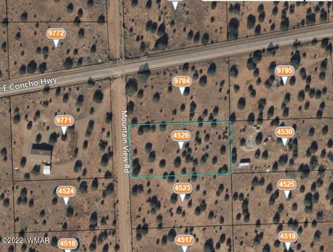 4529 Mountain View Rd, Snowflake, AZ 85937 photo 8