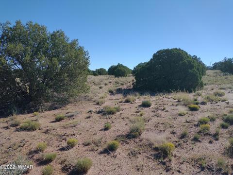 4529 Mountain View Rd, Snowflake, AZ 85937 photo 4