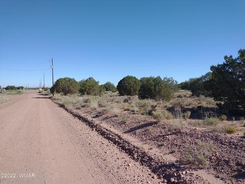 4529 Mountain View Rd, Snowflake, AZ 85937 photo 6