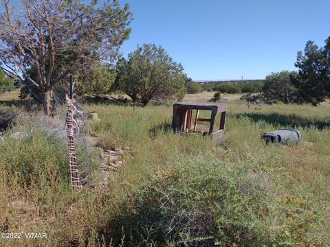 4323 Mountain View Rd, Snowflake, AZ 85937 photo 15