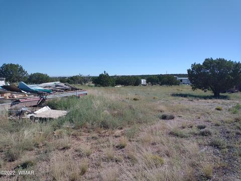 4323 Mountain View Rd, Snowflake, AZ 85937 photo 11