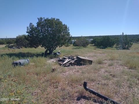 4323 Mountain View Rd, Snowflake, AZ 85937 photo 4