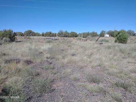 4323 Mountain View Rd, Snowflake, AZ 85937 photo 1