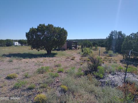 4323 Mountain View Rd, Snowflake, AZ 85937 photo 2