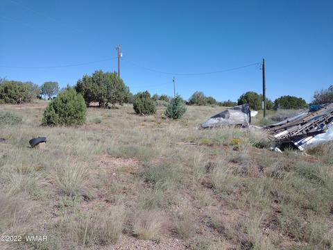 4323 Mountain View Rd, Snowflake, AZ 85937 photo 10